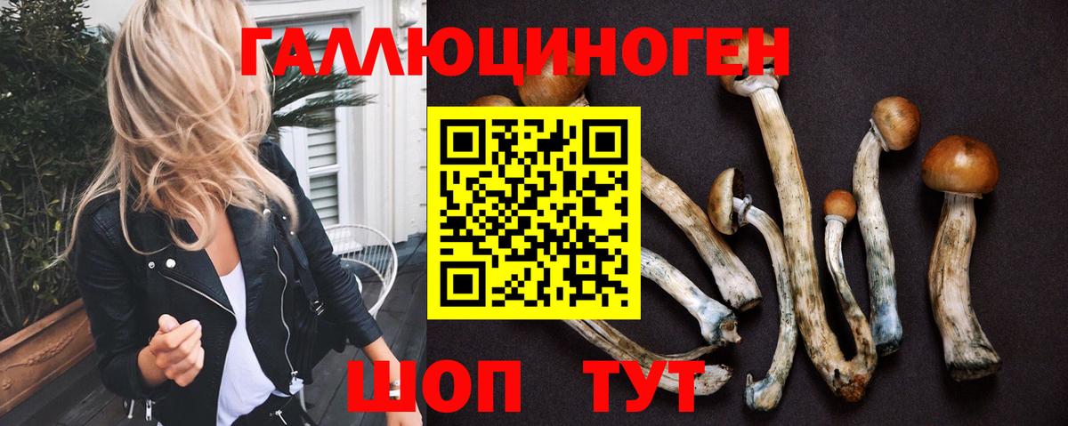 Псилоцибиновые грибы GOLDEN TEACHER  Вход с VPN  Галлюциногенные грибы MAGIC MUSHROOMS  Щёлково 